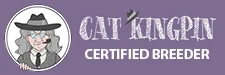 Cat Kingpin Certified Maine Coon Breeder in Utah - Trusted Source for Maine Coon Kittens for Sale.