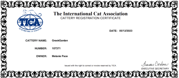 Cattery Registration Certificate TICA. Certified ethical Maine Coon breeder in Utah, adhering to TICA and CFA standards.