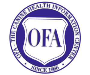 OFA Hip Dysplasia Testing Partner for Maine Coon Breeder in Utah - Ensuring Healthy Purebred Maine Coons.