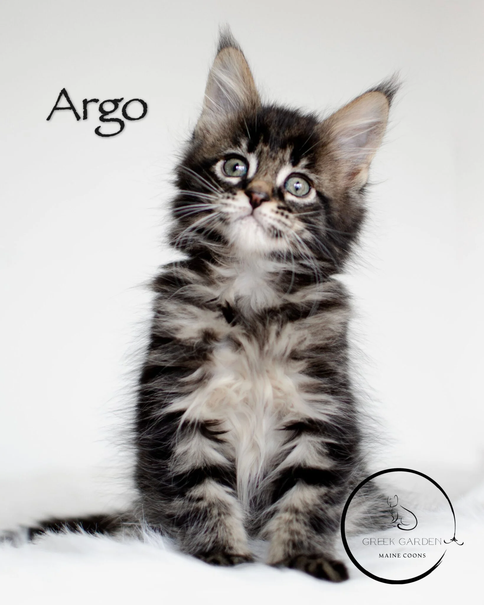 Argo 8 Weeks