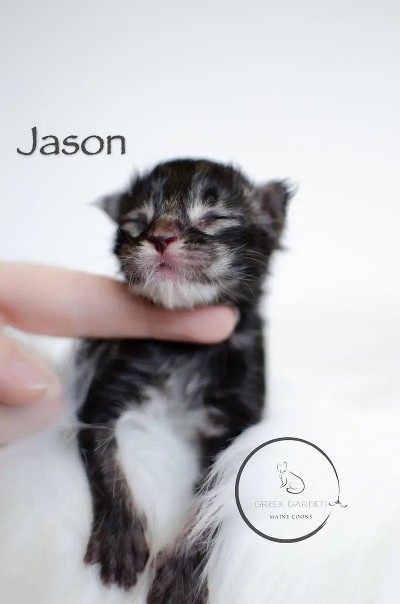 Jason Newborn