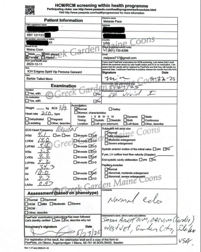 Queen Clio's May 2025 Heart Echocardiogram (Normal)