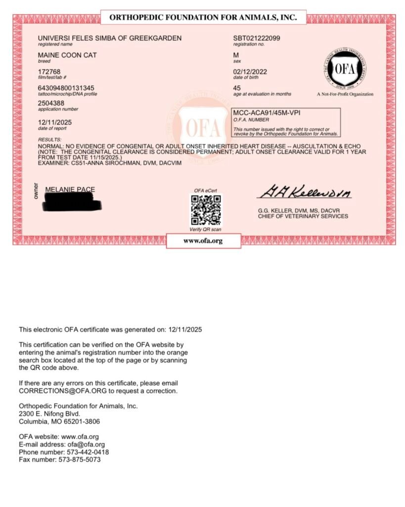 Greek Garden Maine Coons