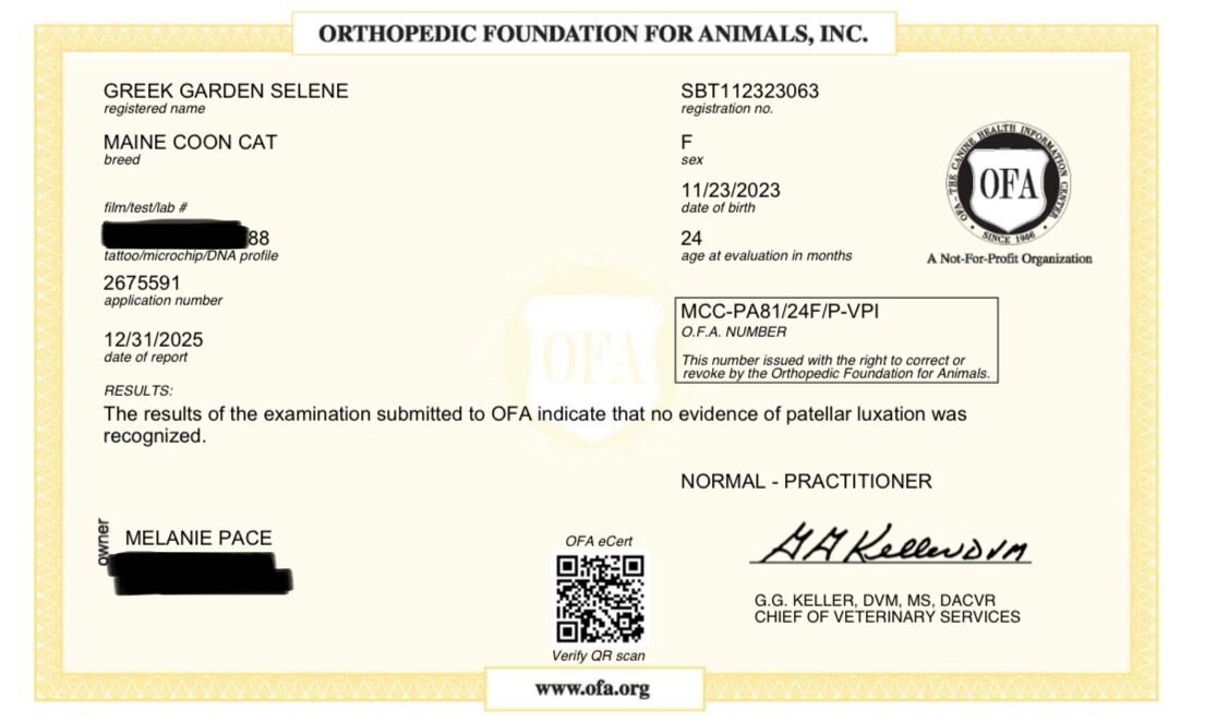 Selene OFA Patella Results