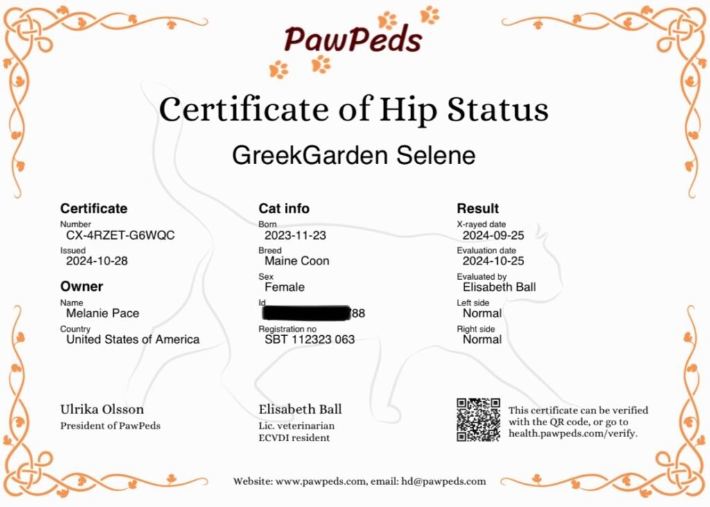 Selene Hip Certificate PawPeds
