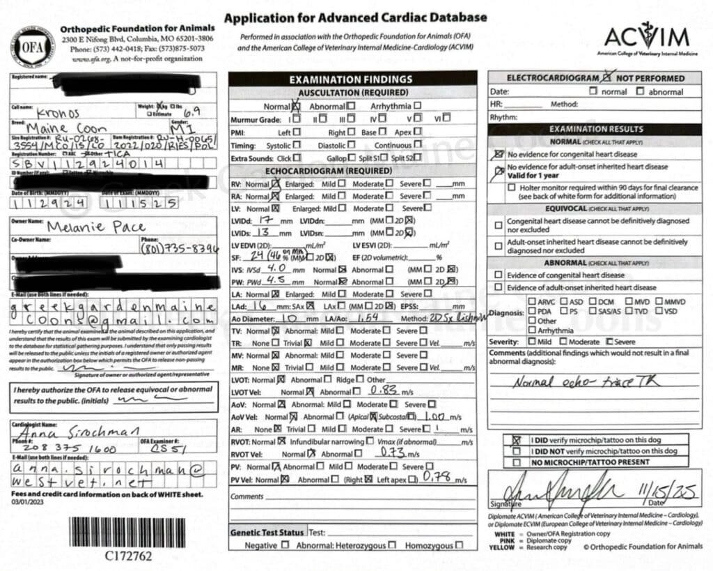 King Kronos' 1 Year Heart Scan Results - Normal